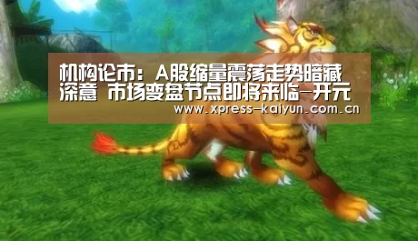 开云体育网站