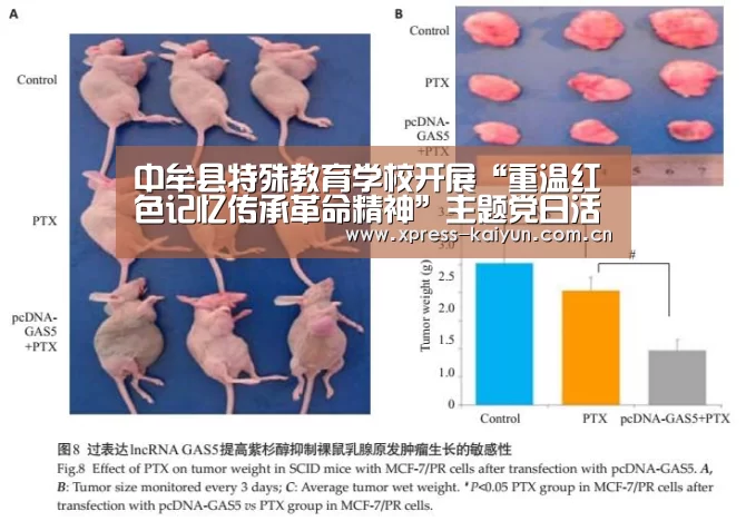 开云体育网站